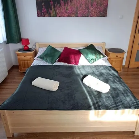 Pokoje U Koszarka Zakopane Exterior foto
