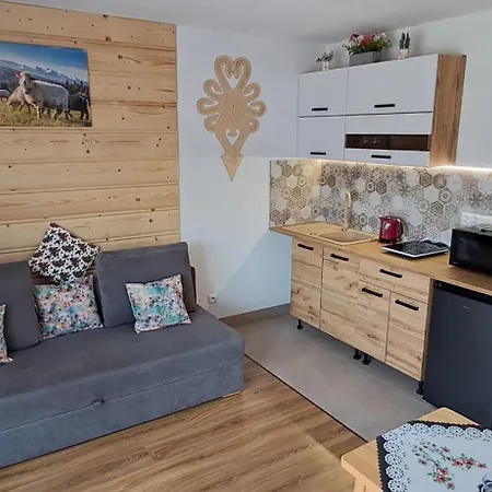 Pokoje U Koszarka Zakopane Exterior foto